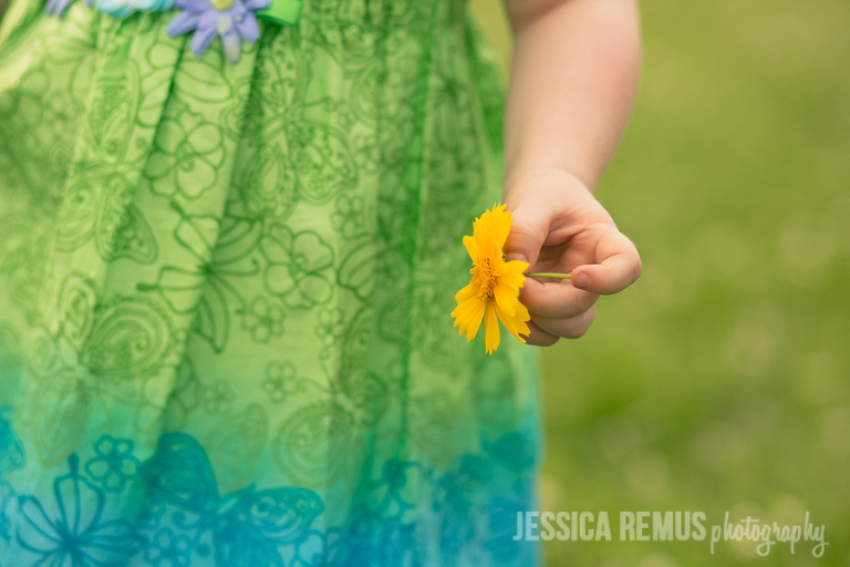 little girl hand holding a daisy