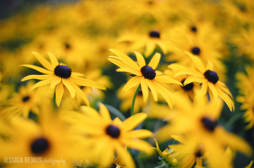 scenes from mackinac island film » Jessica Remus Photography