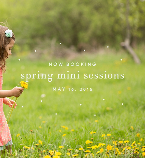 spring mini sessions jessica remus photography